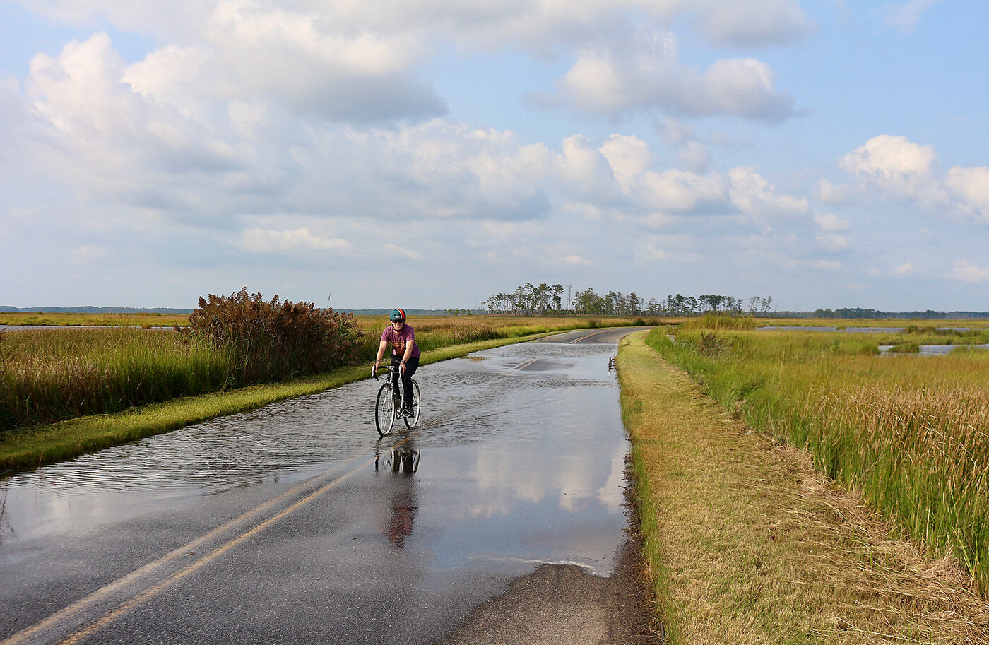 Biking Blackwater during high tide